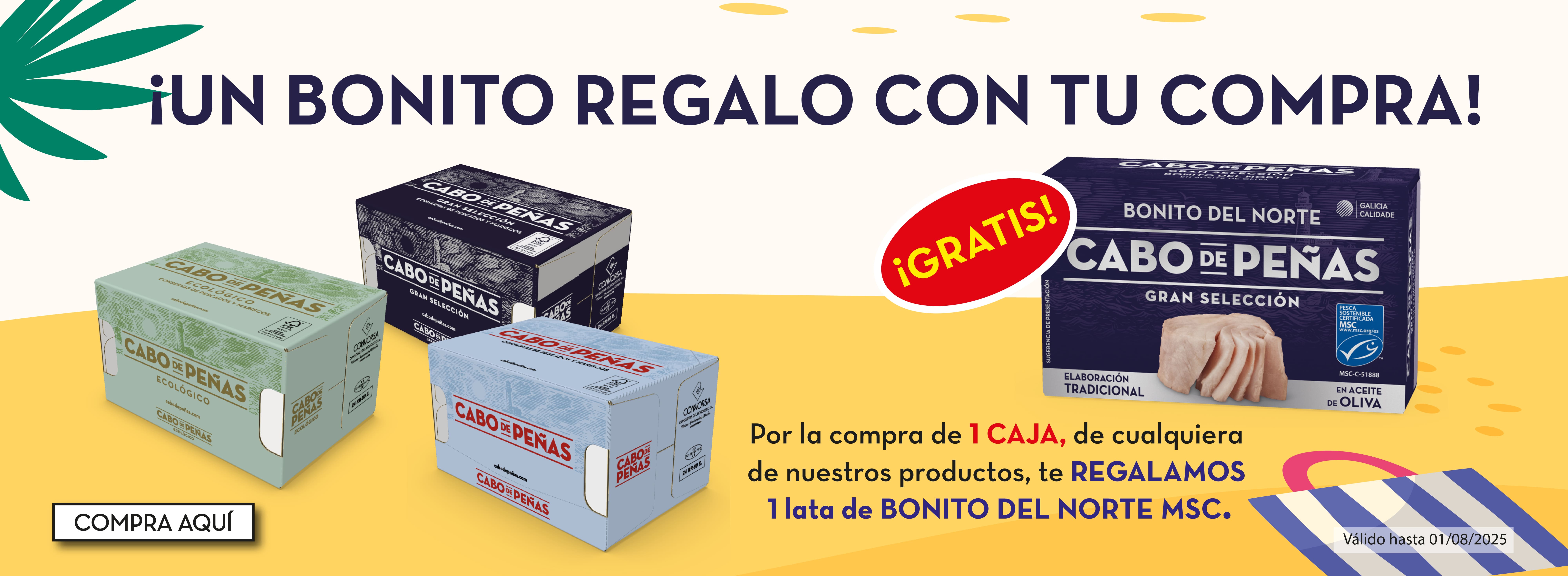 Regalo Bonito MSC